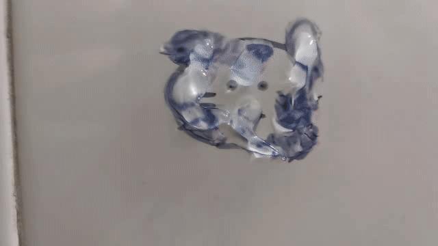 最省钱的打扫神器,过年扫家神器