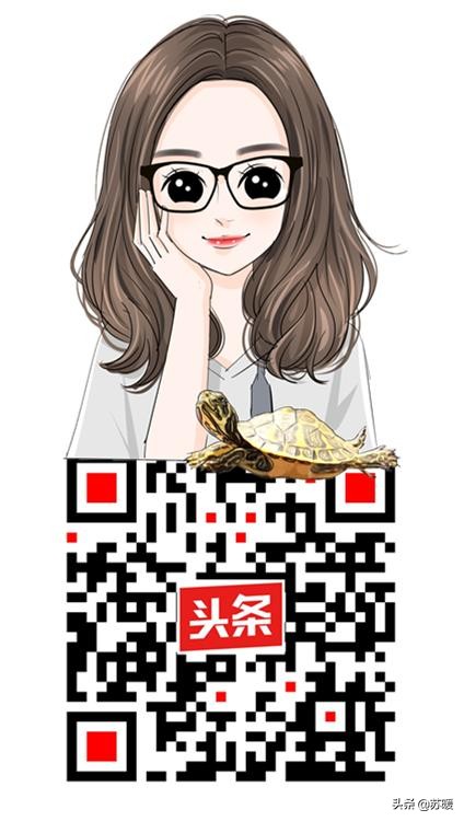 龟腐皮腐甲怎么预防,深水龟腐甲治疗