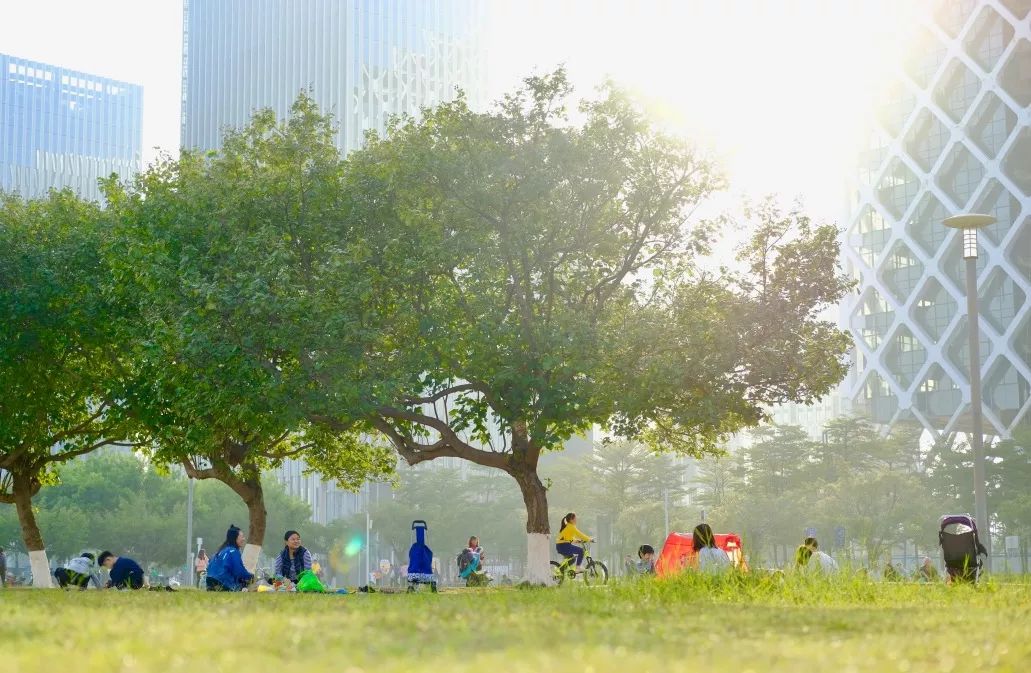 宝安市区中心,走进宝安中心区