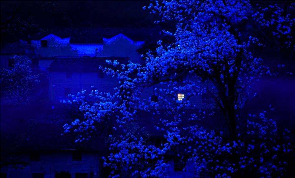 鑻忓繝璇楁瓕,鑻忓繝璇楁瓕浣滃搧