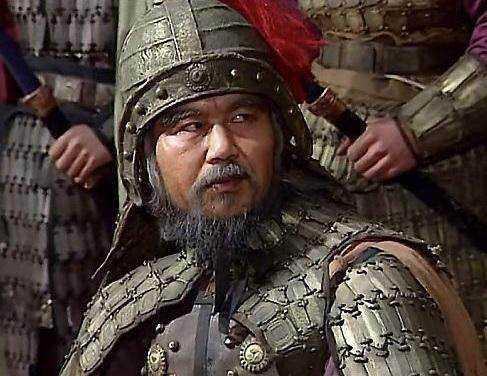 姜维真实实力,姜维有幼麟的称号吗