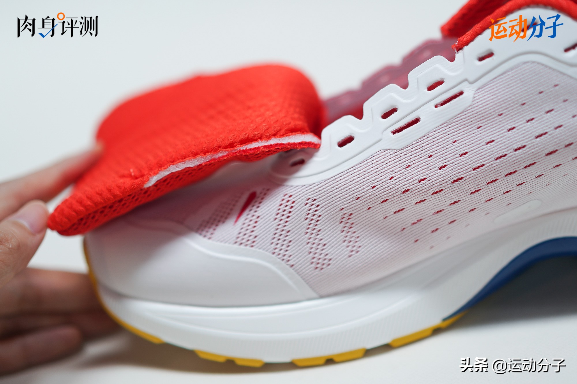 多威maxpower,多威max版