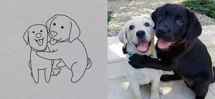 一波可爱动物简笔画,超火的简笔画动图