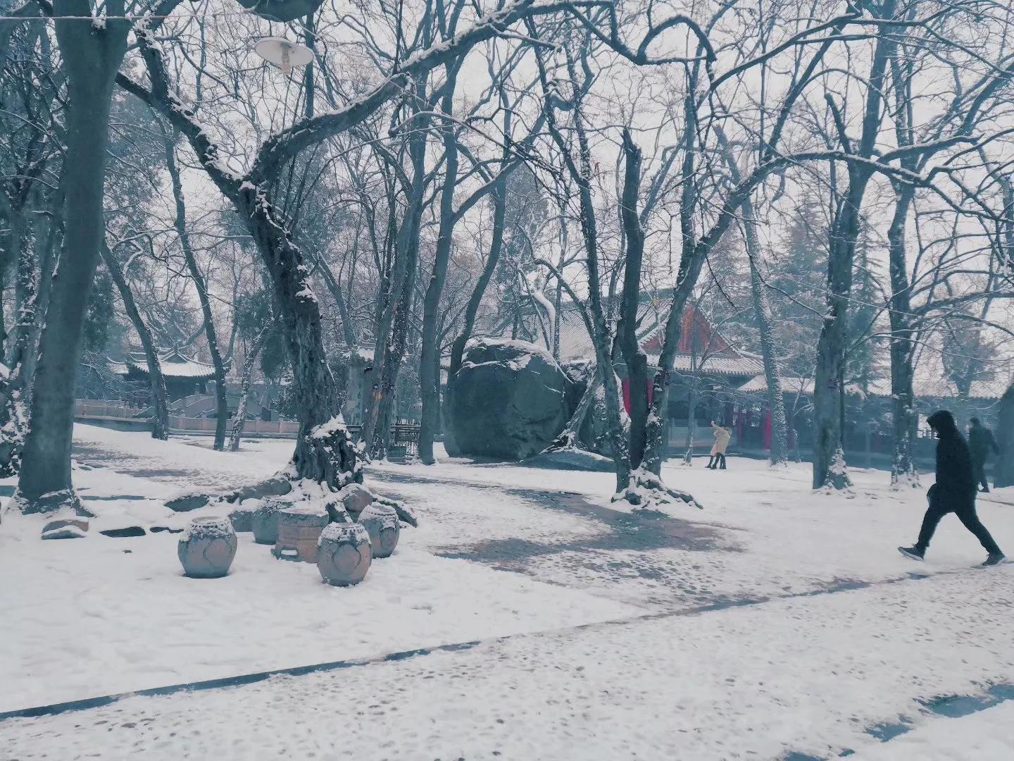 对镜拍九宫格构图,九宫格构图拍婚礼