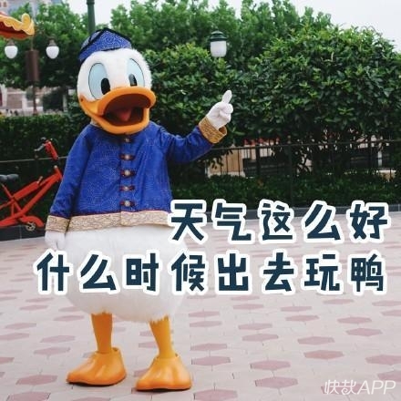 秋景美,国庆游去哪里可以看最美秋景