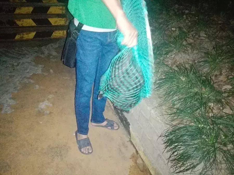 爱宠人：你知道困难重重的TNR是什么吗？