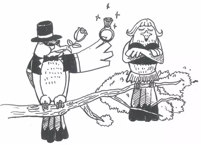 怎么发朋友圈文艺优雅,怎么发纯文字朋友圈才高级