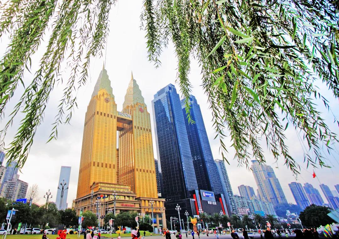 南滨夜来香,南滨夜来香打卡视频