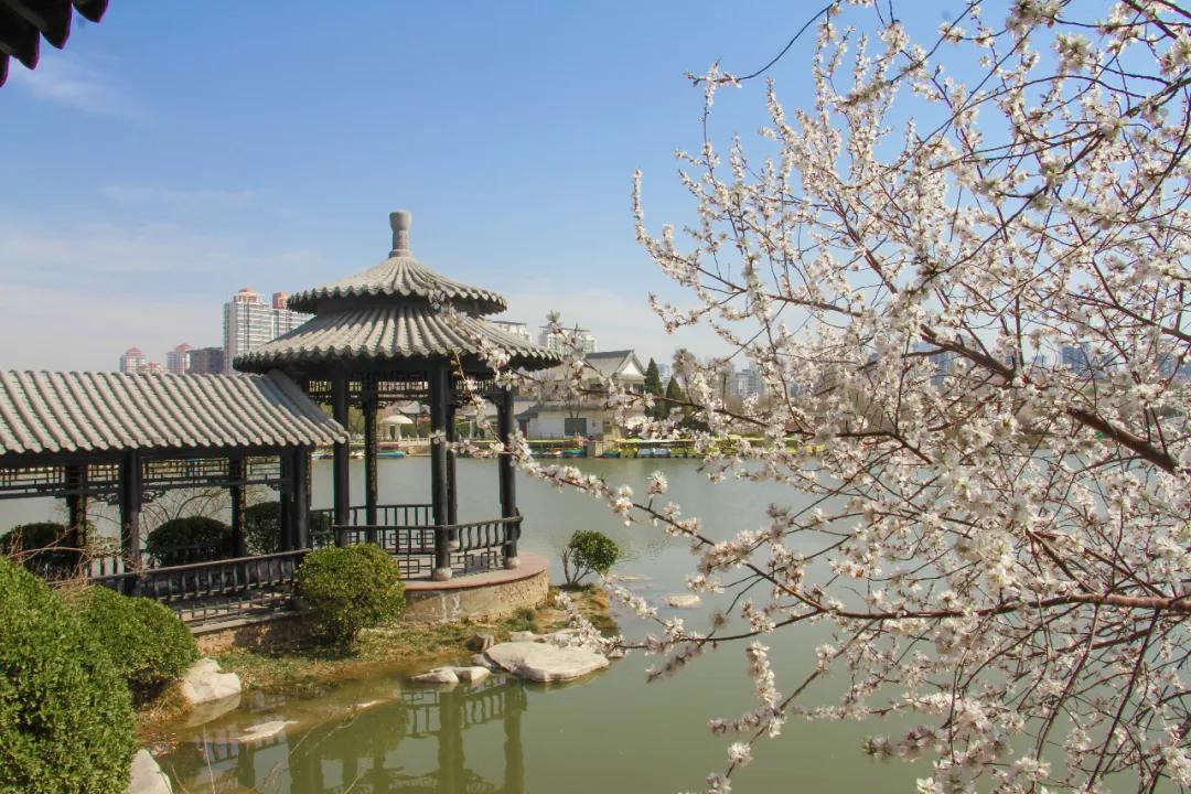 天津2022哪些公园恢复开放,天津水西公园现在恢复开放了吗