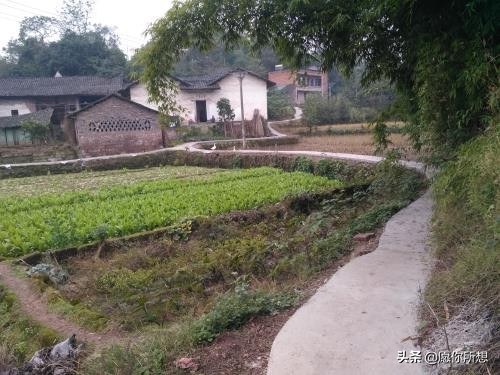 农村道路修路的最新政策,要想富先修路带来的好处