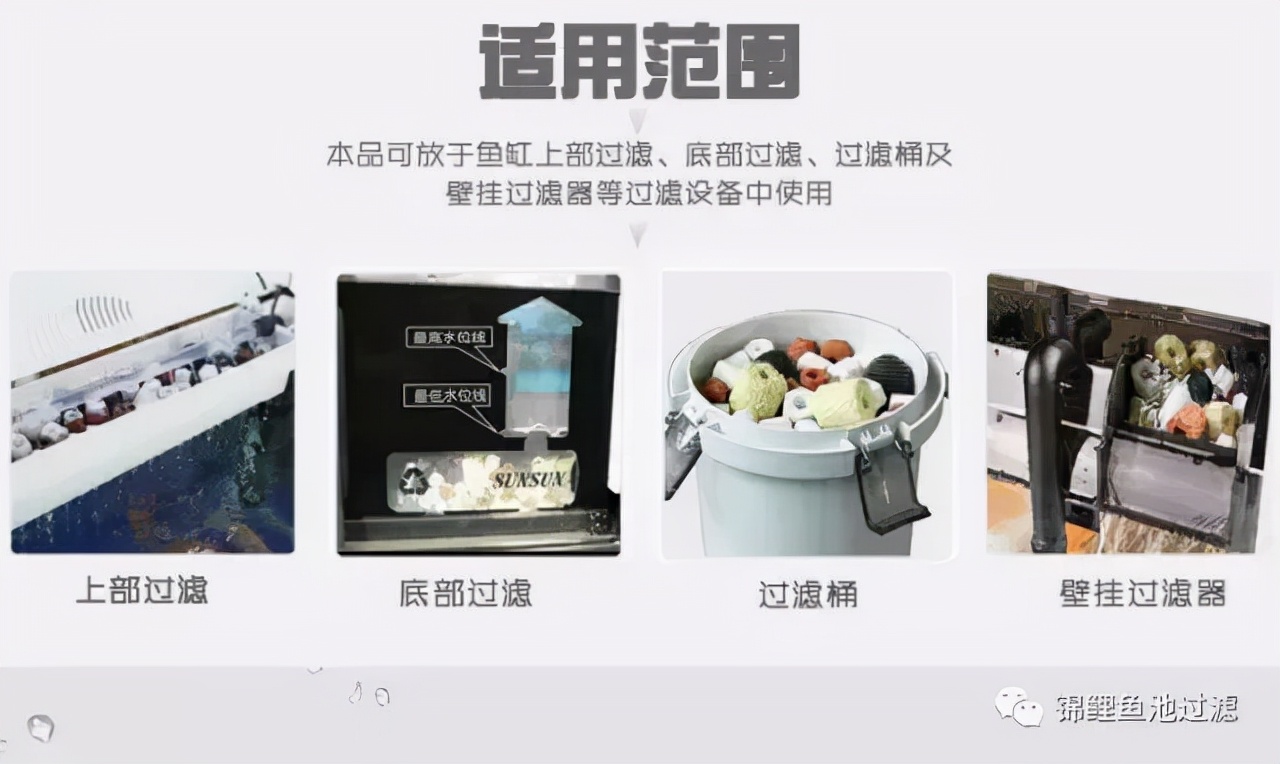 养锦鲤用过滤桶过滤系统,锦鲤鱼池沼泽过滤与生物过滤