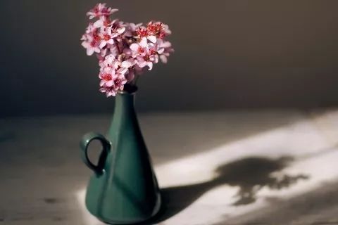 耶稣吩咐世人的话语,耶稣说生气