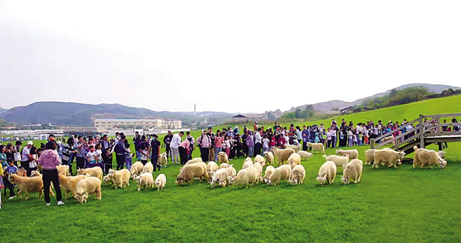 大连十大旅游景区,大连人气最旺十大景点