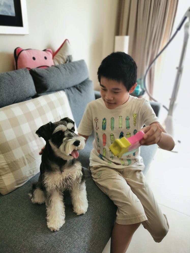 伊顿公学国王奖学金待遇,伊顿公学国王奖学金