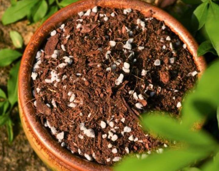 新手养花必须知道的技巧,简单实用低成本自制养花肥料