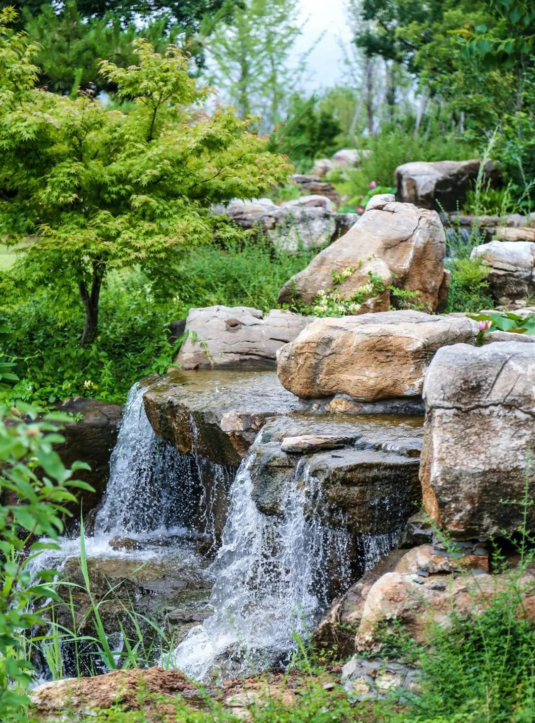 济宁尼山圣境免费,济宁尼山圣境景区视频