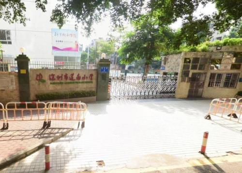 深圳罗湖区有名的小学,深圳罗湖小学学校排名