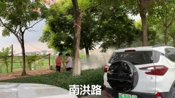 小车抄4遍摩托抄2遍!南安又有一批人因违停抄8113字条例