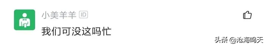 国企程序员都做什么的呀,国企程序员都做什么工作