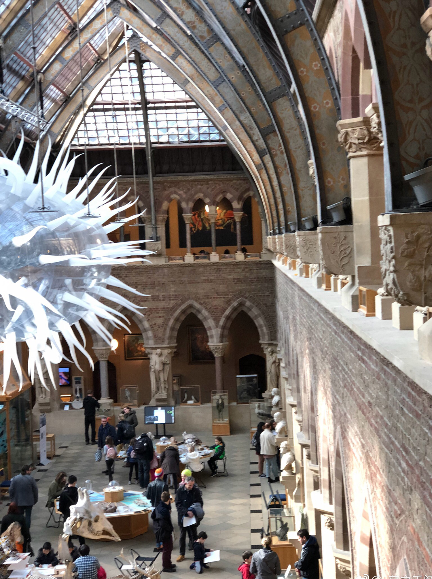 在英国日常用品,刚到英国怎么购买生活用品啊