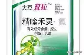 葡萄园杂草可以用氰氟草酯吗,葡萄园杂草用什么除草剂最好