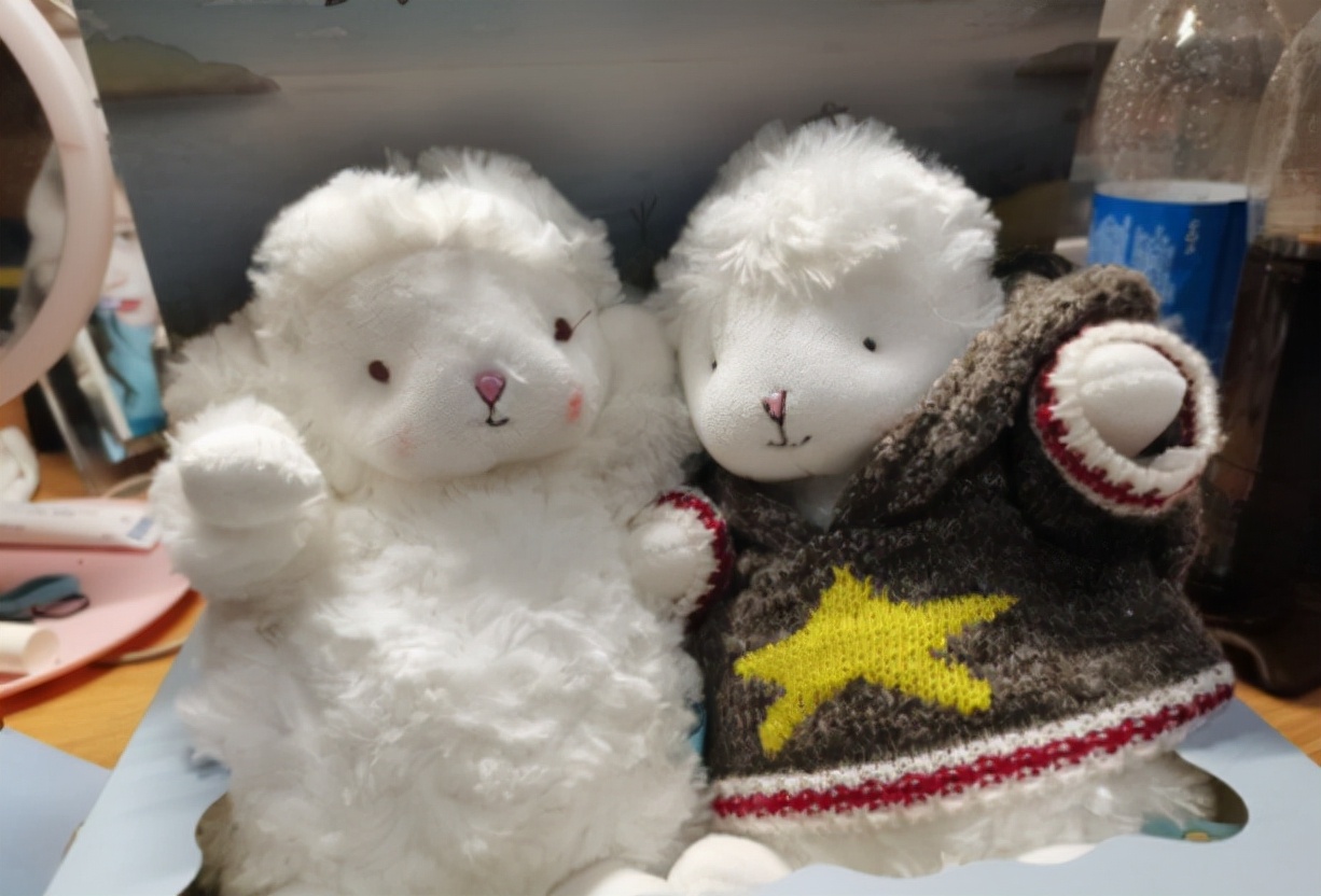 女朋友过生日送什么礼物一千左右,兄弟女朋友过生日送什么礼物合适