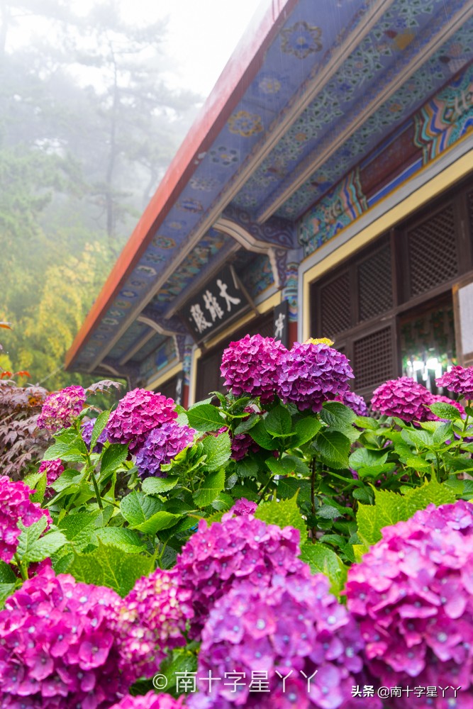 好看的韩剧推荐釜山行,釜山推荐景点打卡攻略图