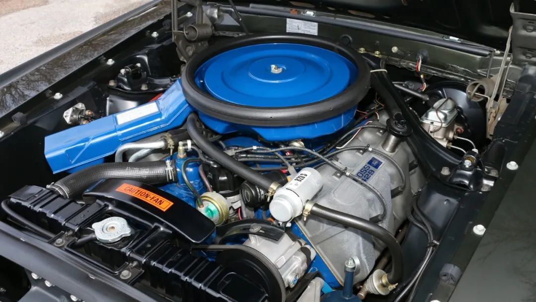 眼镜蛇野马最贵多少钱,最高级的帅野马