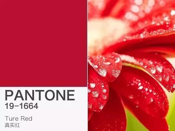 pantone潘通色号,pantone潘通发布2016年度流行色