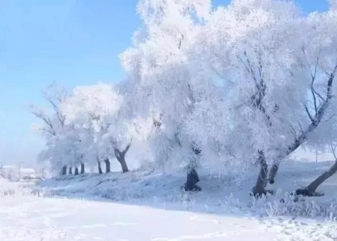 此生必去看一次雾凇太美了,此生必去看一次雾凇简直要美哭了