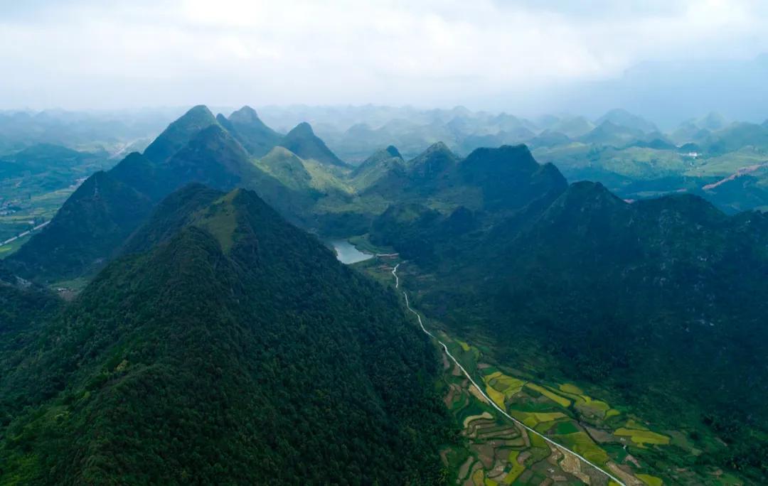 来到海南吃荔枝,到海南吃到的热带水果