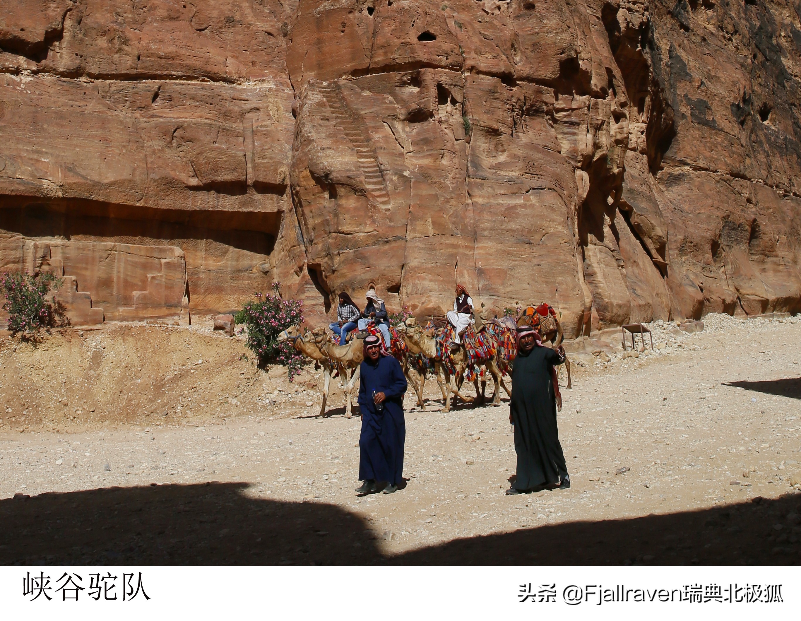 西夏蒙古大战,蒙古第三次入侵西夏