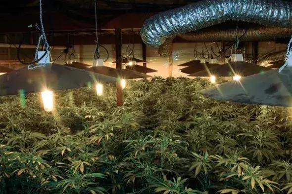 纽约夜晚的神秘蓝光,纽约奇异蓝光笼罩夜空外星人降临