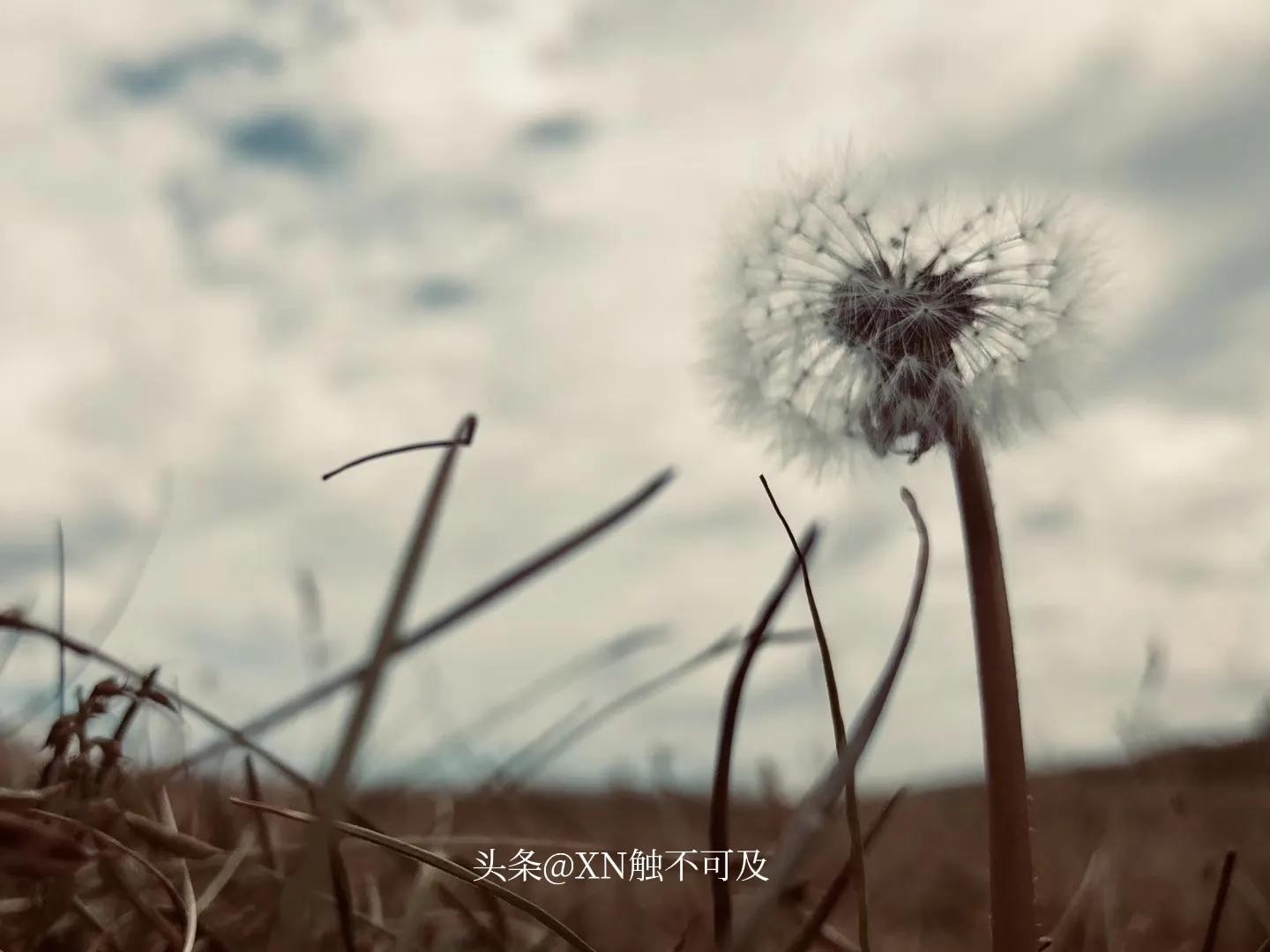 都挺好原生家庭对一个人的影响,都挺好原生家庭对明玉有什么影响