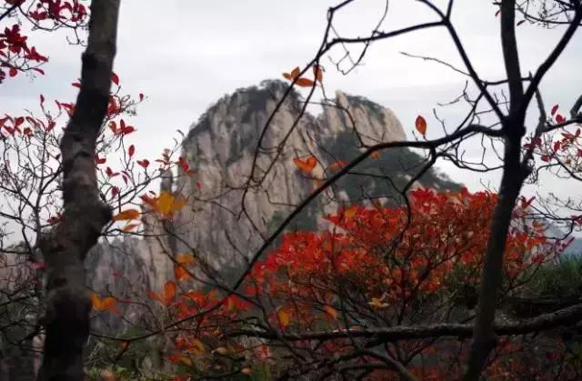 黄山旅游必去攻略,黄山旅游攻略必去景点大全