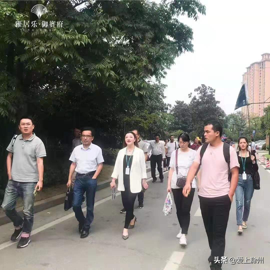 雅居乐品牌焕新,雅居乐有什么产品