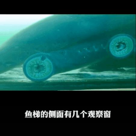 全球旅行攻略干货,全球旅行不为人知的秘密