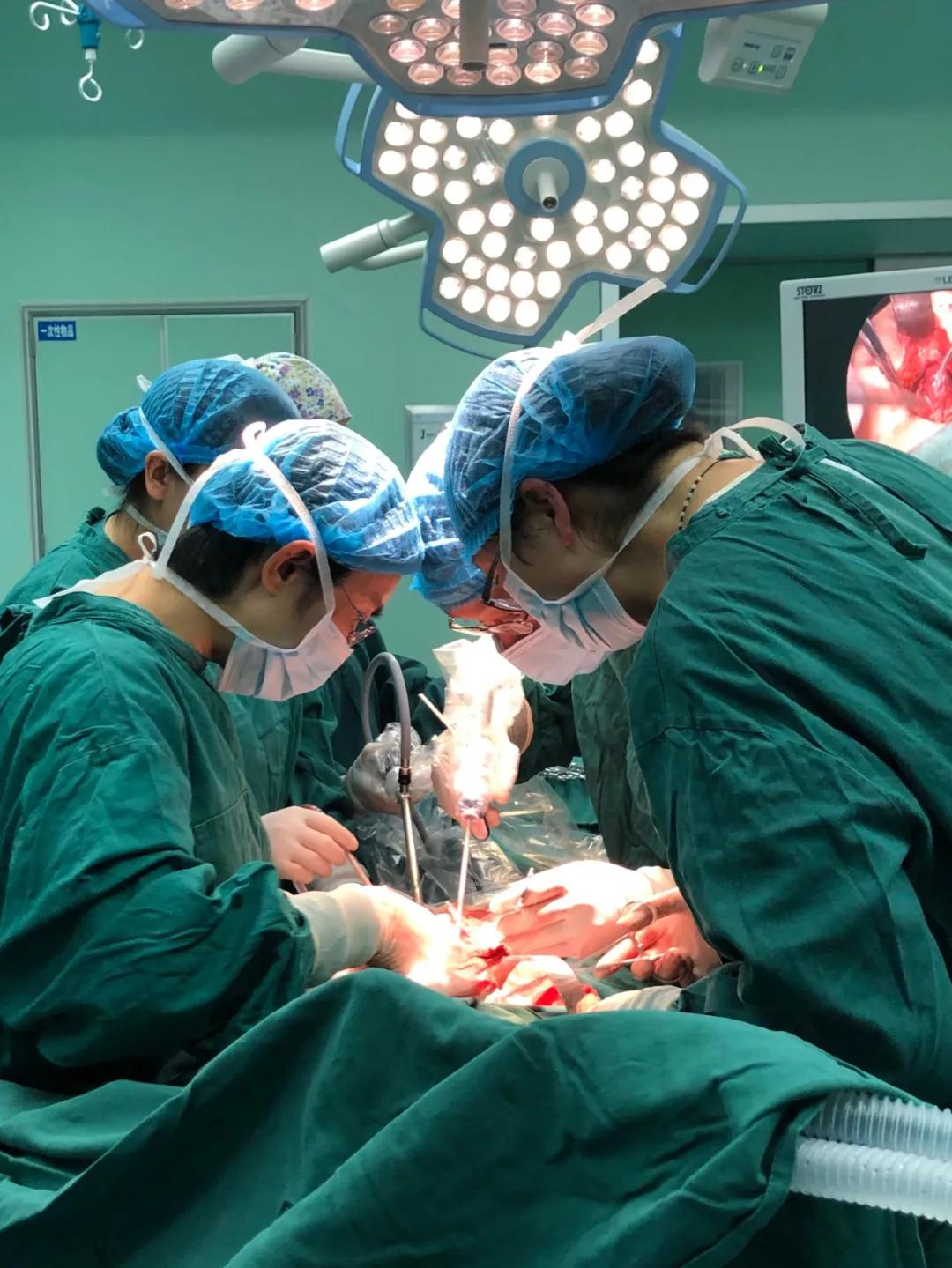 稀奇了！胎儿居然“住”进妈妈的腹腔，曲靖市二院成功救治一例罕见腹腔妊娠患者