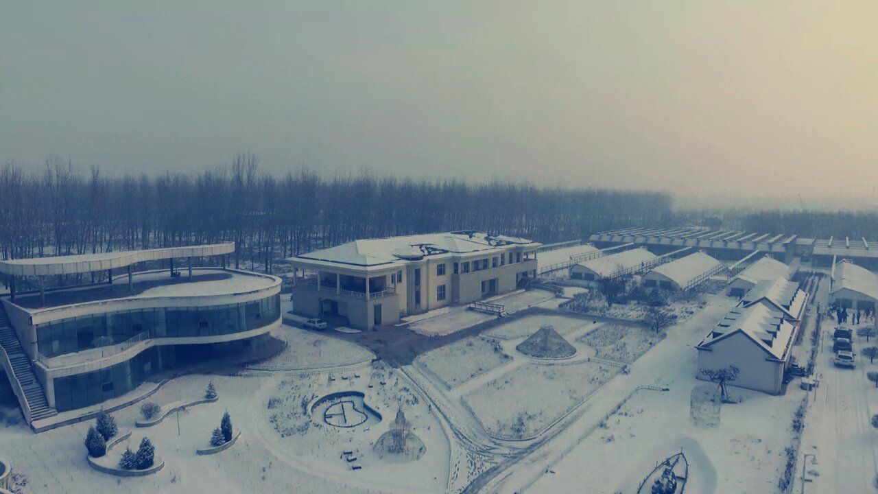 电视剧行尸走肉完整版剧情解说,国内电影行尸走肉