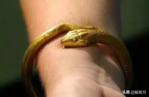 金镯是买硬金好还是软金好,金镯哪种保值