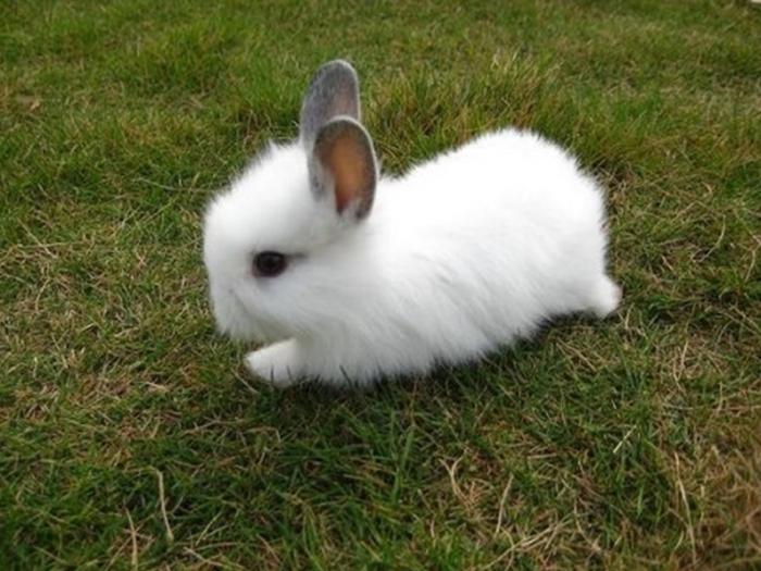 疫情的情况下做什么比较适合,疫情这几年最适合做的事情