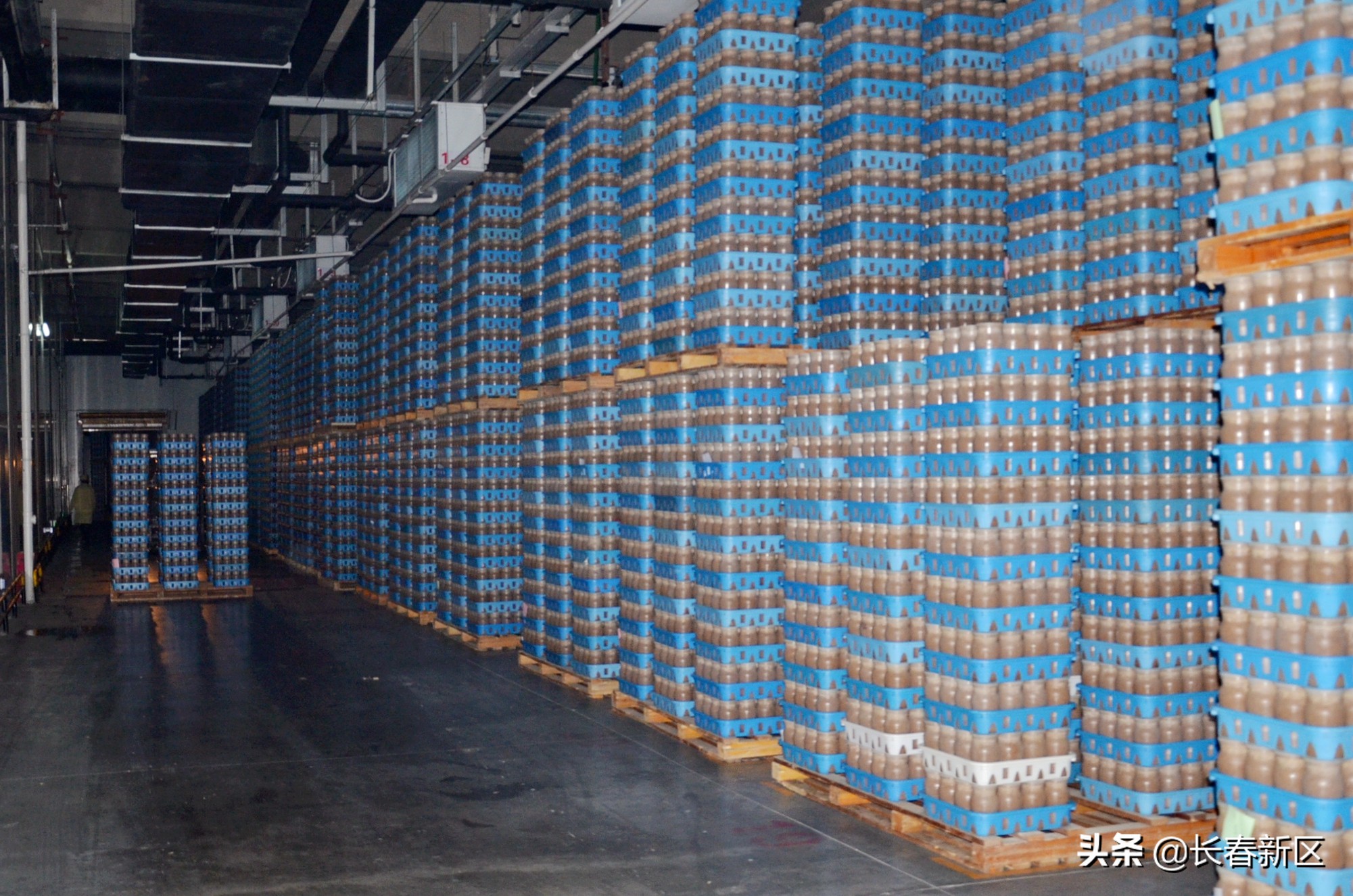 长春新区重点企业巡礼——长春高榕生物科技有限公司：深耕食用菌产业用科技还原生态之美