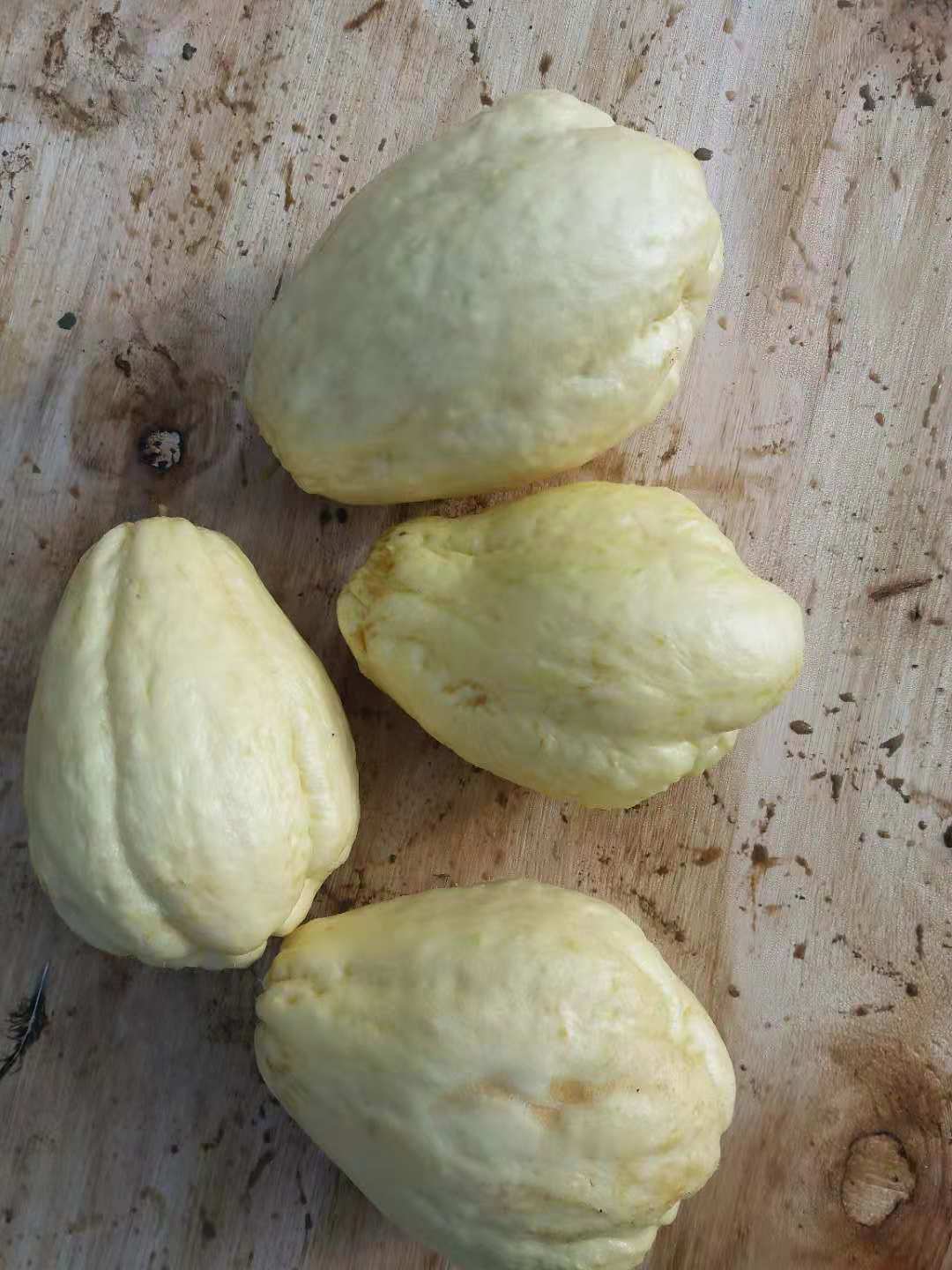 佛手瓜有哪些变种,佛手瓜有雄雌之分吗