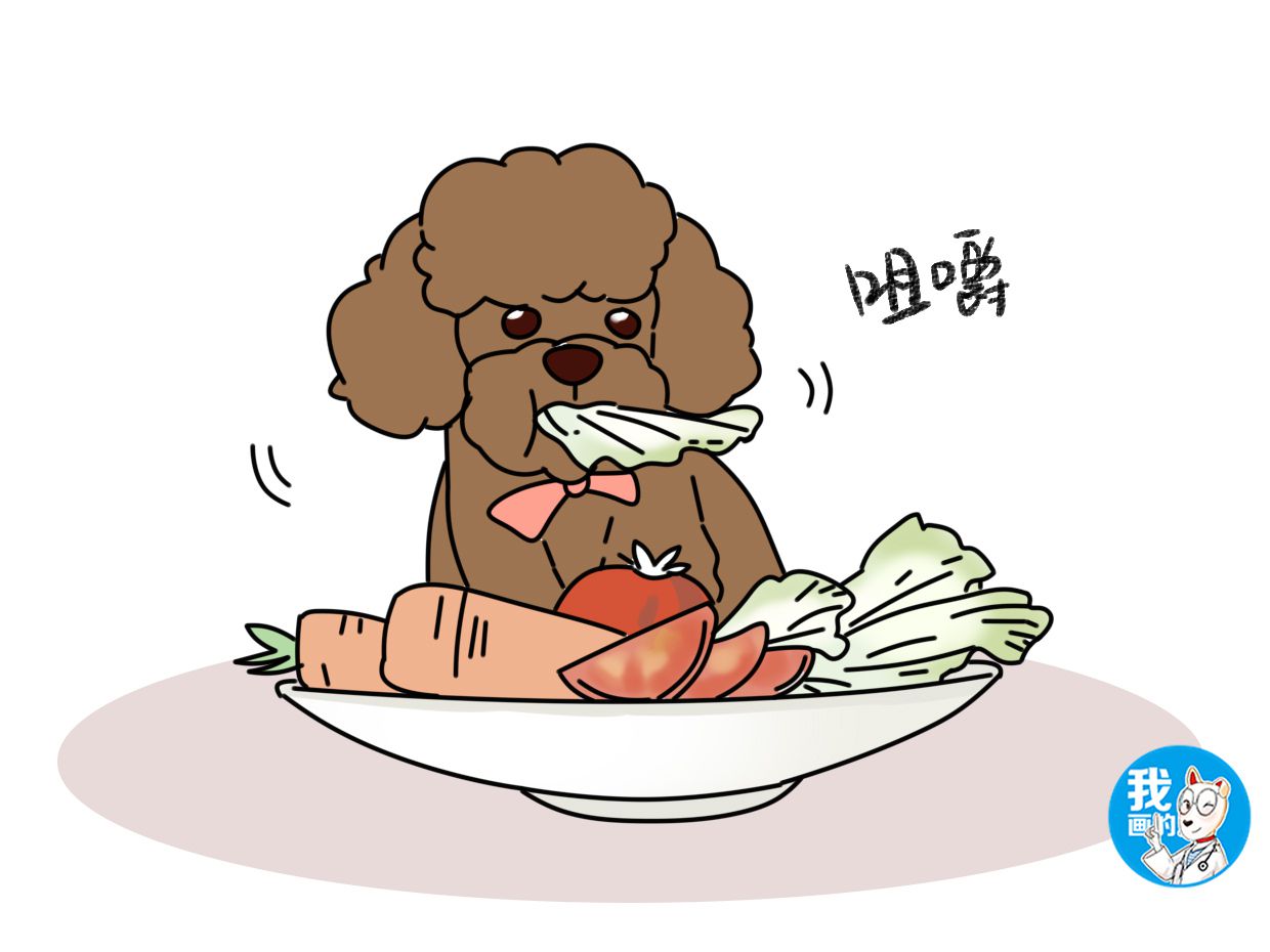 狗狗身上有螨虫用圣露薇可以吗,狗狗身上有螨虫和真菌区别图