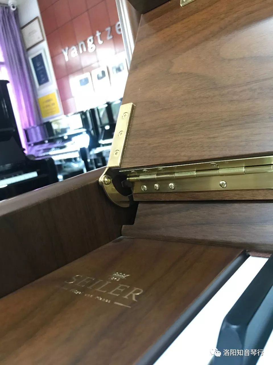 赛乐尔钢琴gs122k,赛乐尔钢琴gs122优缺点