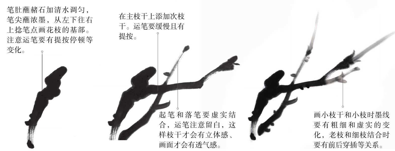 国画零基础牡丹画法步骤图解,国画零基础入门教程牡丹的画法