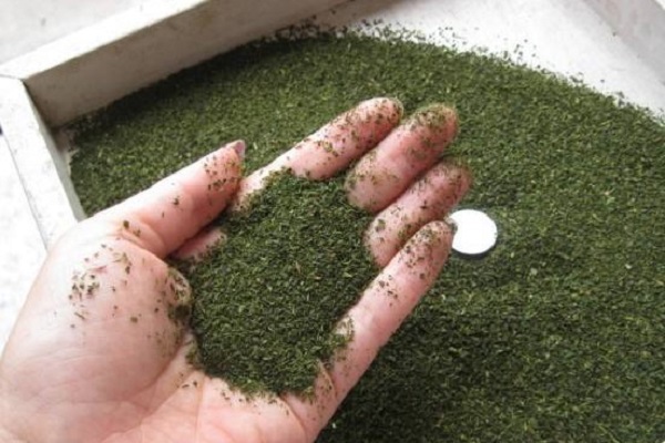 立顿绿茶能提神解困吗,喝立顿绿茶提神吗