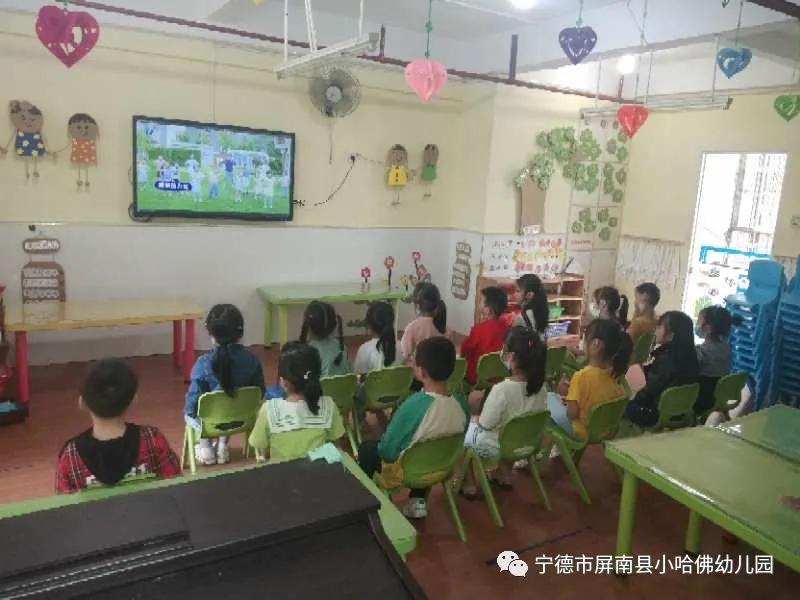 宁德小哈佛幼儿园,宁德蕉城区小哈佛幼儿园