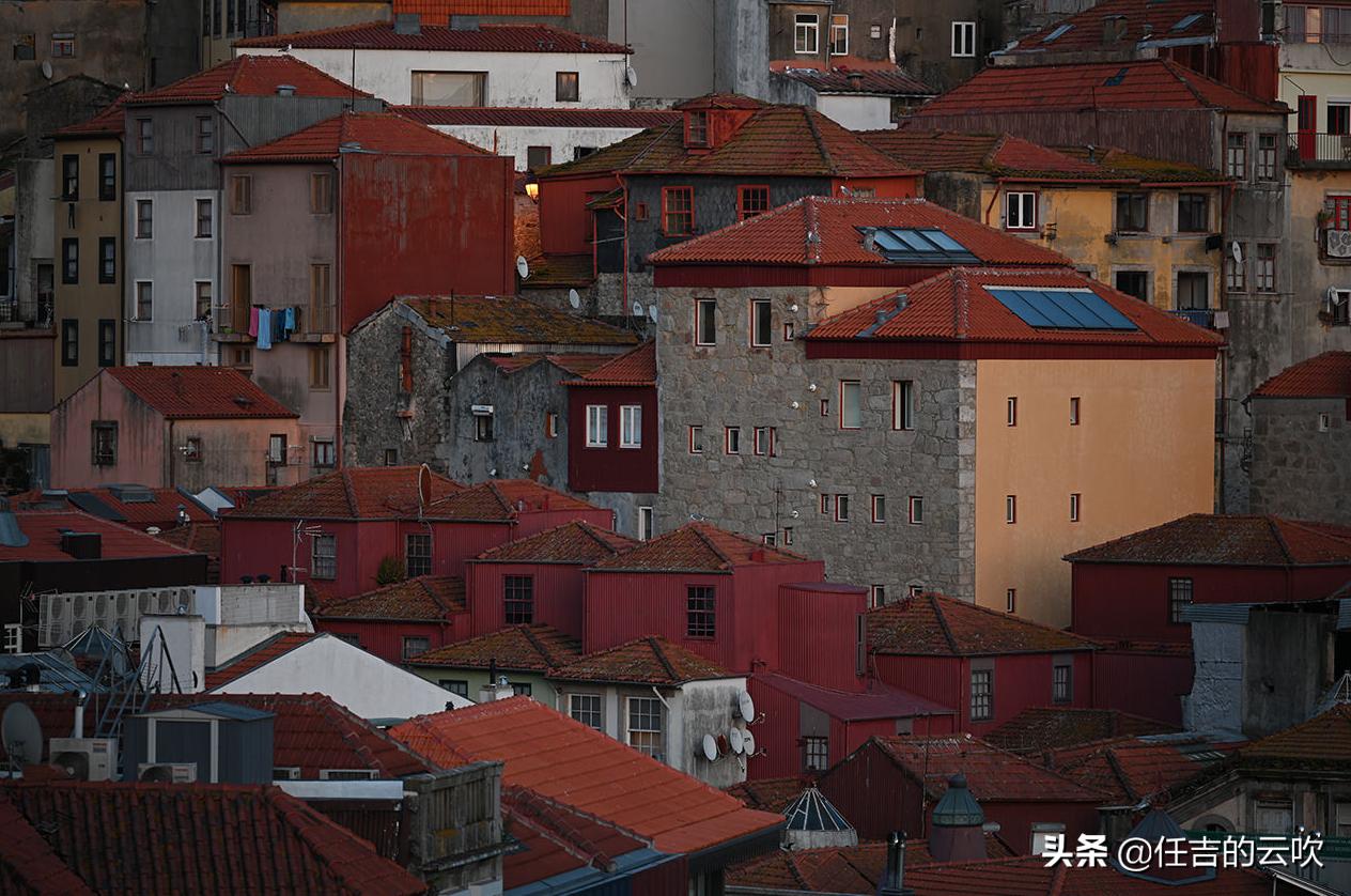 尼康索尼佳能24-70f2.8镜头哪家强,佳能尼康24-70二代镜头对比