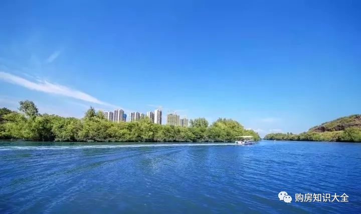 惠州碧桂园太东公园上城,碧桂园太东天樾湾红树林大城